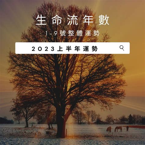 2023生命靈數流年7|2023年生命靈數運勢排行榜–愛情｜財運｜事業｜考試｜健